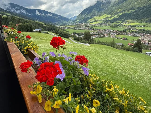 Balkon mit Geranien und Blick über eine Almwiese